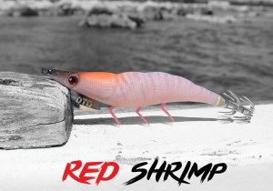 dtd-red-shrimp